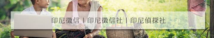 印度尼西亚企业调查